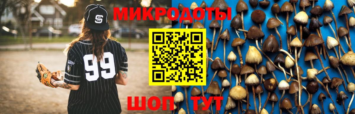 Алексин  Псилоцибиновые грибы Psilocybe  Вход с VPN  Галлюциногенные грибы MAGIC MUSHROOMS 