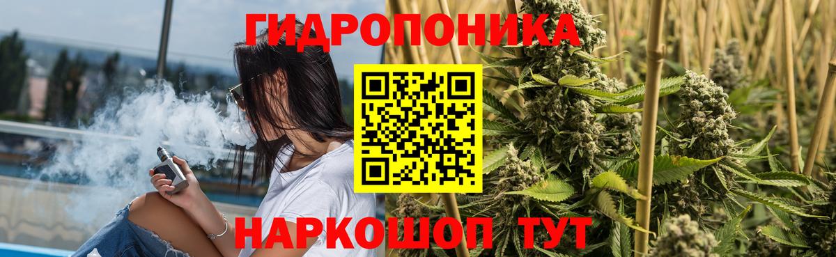Алексин  Каннабис сатива  Бошки Шишки OG Kush  Шишки марихуана MAZAR  Бошки марихуана тримм  Вход с VPN 